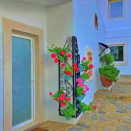 Buganvilia - Quinta Casalinho Da Azenha